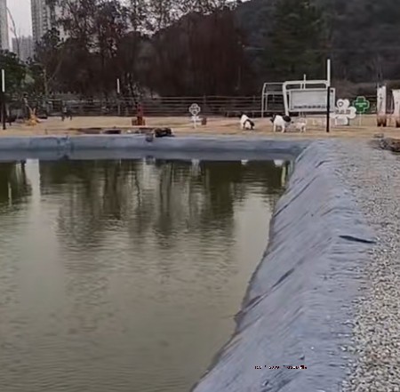 德州水泥毯